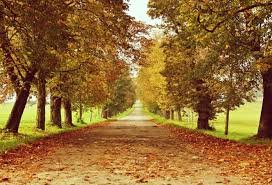 Happy Fall!!!