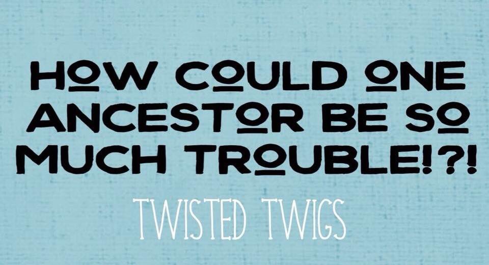 Twisted Twigs tweet media