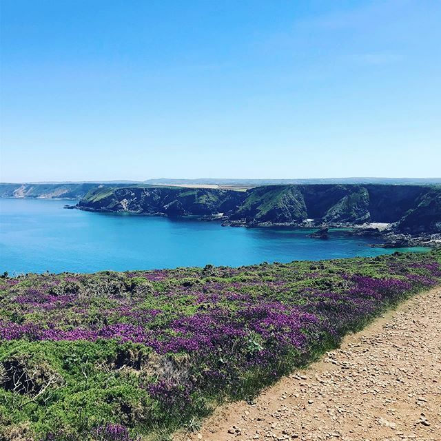 CORNWALL  BORN &amp; BRED 🌈
#hagervorfamily ift.tt/2kXU6nO