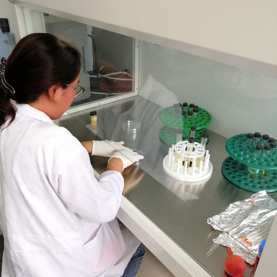 CATEPAL1's tweet photo. Prácticas de microbiología de estudiantes de tecnología superior en procesamiento de alimentos. https://t.co/IJOPUkGQvG