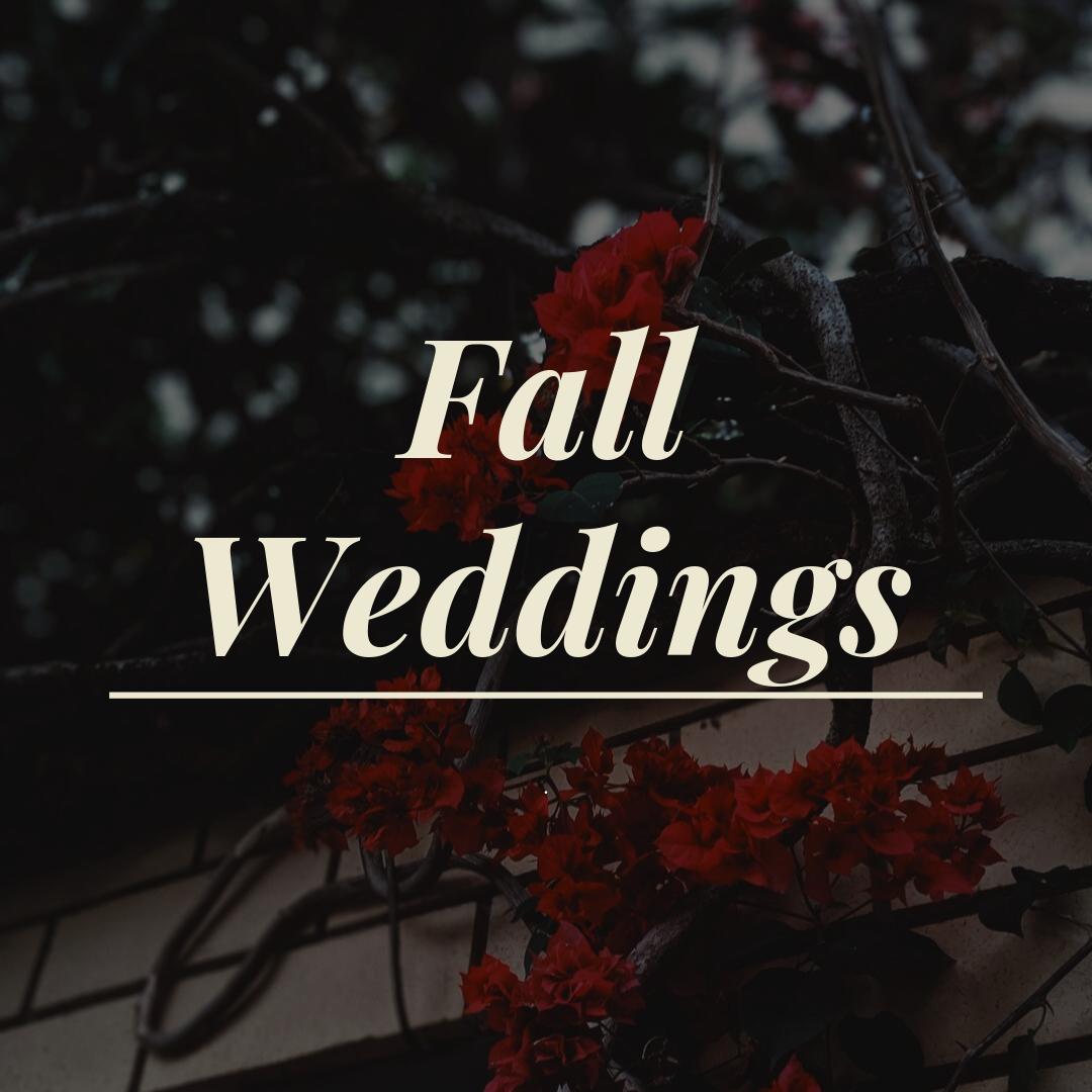 Odeum3595's tweet photo. Welcoming fall with some fall wedding inspo! Read our favourite reasons to plan a fall wedding, link in bio! 🍂 💍 https://t.co/GsSOoNLg1d