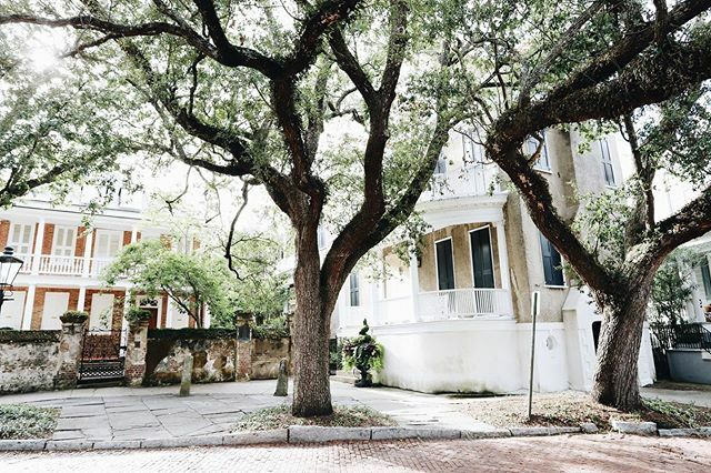 Church Street during hurricane Dorian prep - still as beautiful as ever.