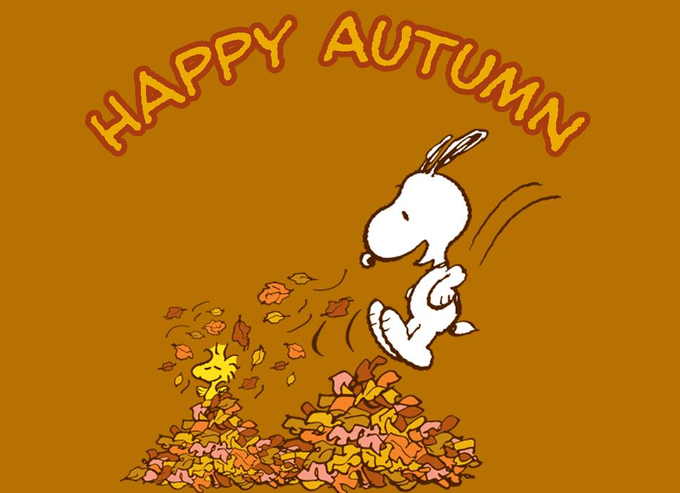 HandToPaw_Zen's tweet photo. Happy #AutumnEquinox!!   🐾🍂🐾

With Love from @HandToPaw_Zen  💜 https://t.co/7aQnBuMScz