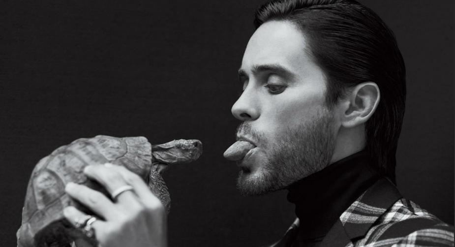 Jared J. 🎤🎶 (@jaredjletox) on Twitter photo 