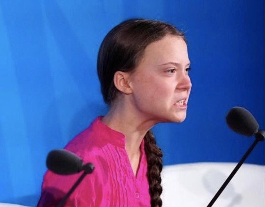 Greta thunberg, heroe, o justiciera? Por que casi nadie le hace caso?