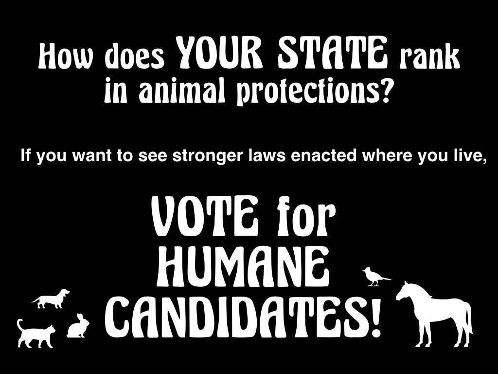 Check out YOUR STATE'S RANK at the link!

Ohio - 29

aldf.org/artic…/state-animal-protection-laws-ranked/