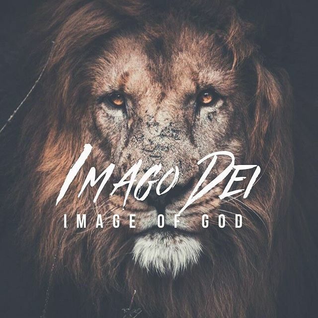 The Element RLS tweet media