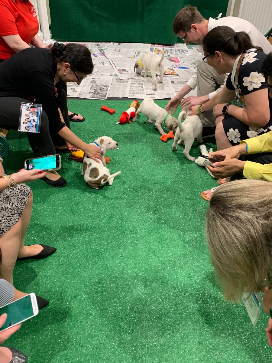 AliDessMD's tweet image. Pathologists and puppies. Brilliant. #CAP19 #cap19orl