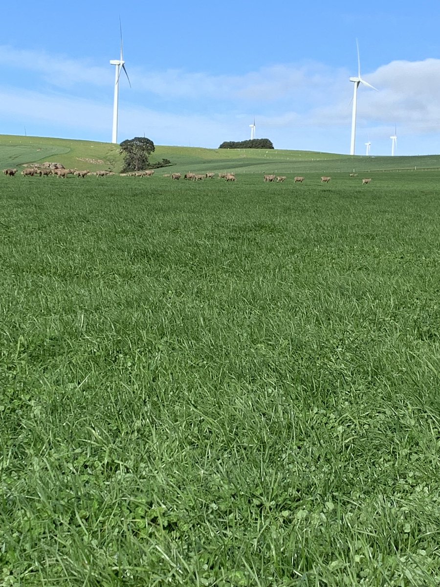 Charles Edmonston tweet media