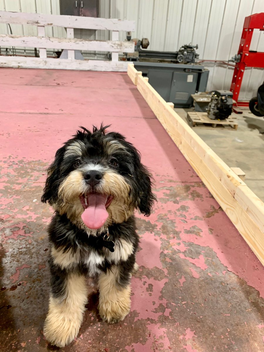 CSchettenhelm's tweet image. Tucker was all about his first time at the farm to say the least.