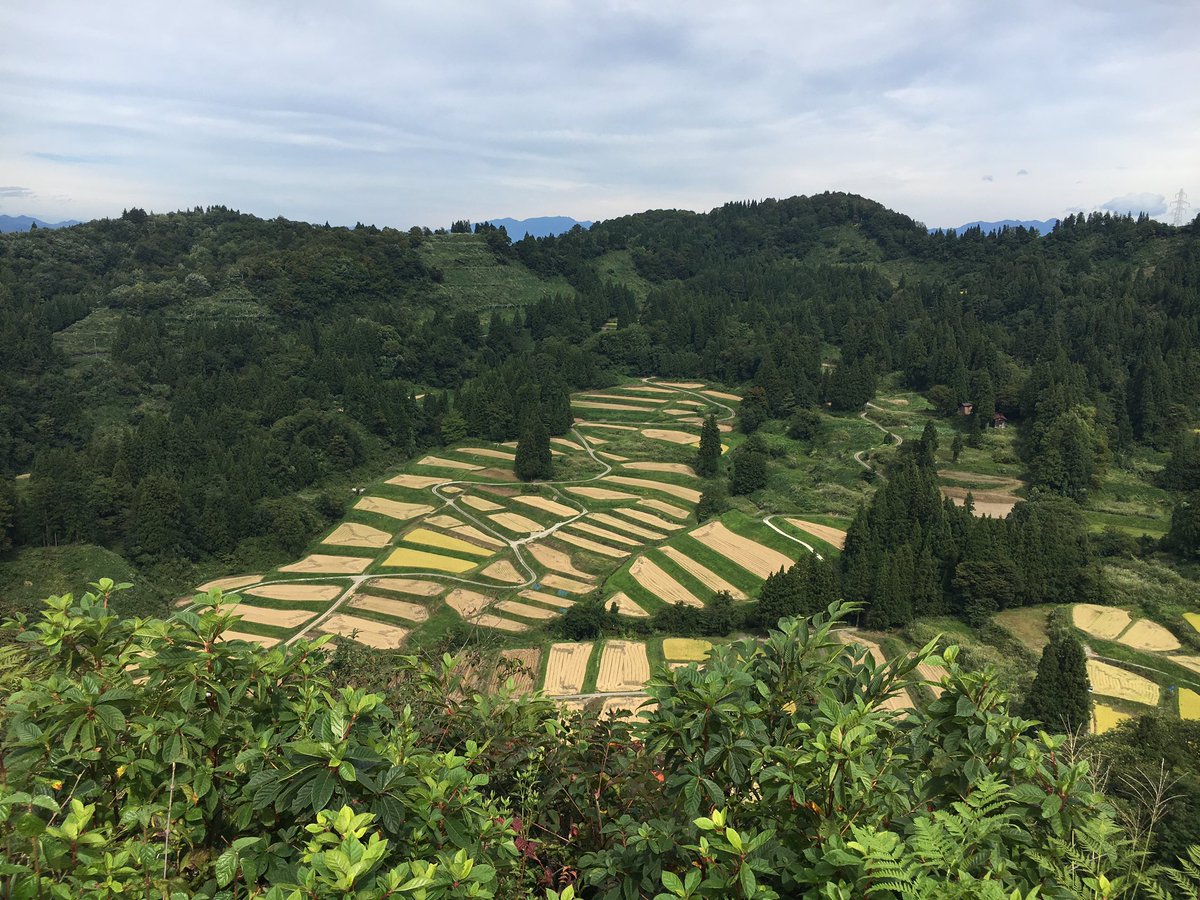 MartinPhillips1's tweet image. Great day exploring issues of rural depopulation and art around Echigo-Tsumari, before immersing ourselves in the cultural experiences of a traditional Japanese onsen with the #comparative_ruralism team @Halfa1965 @DamianMaye @DuerMara @FiWilliams