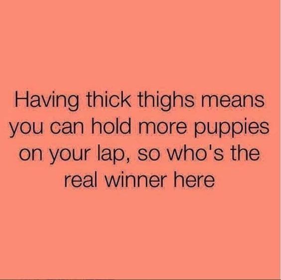 Metacafe tweet media