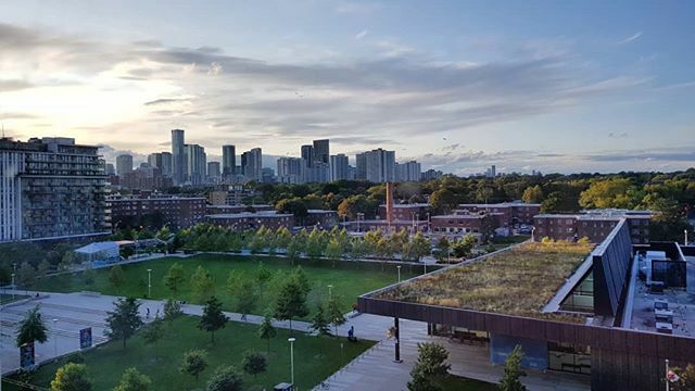 LivingCanary's tweet photo. Sunset view⁣
⁣
#regentpark #greenroofs #aquaticcentre #canarydistrictliving #condosforsale #masterplannedcommunity #torontorealestate #corktownto #cityoftoront https://t.co/gPfvYD4TBz https://t.co/BybVJUYlVf