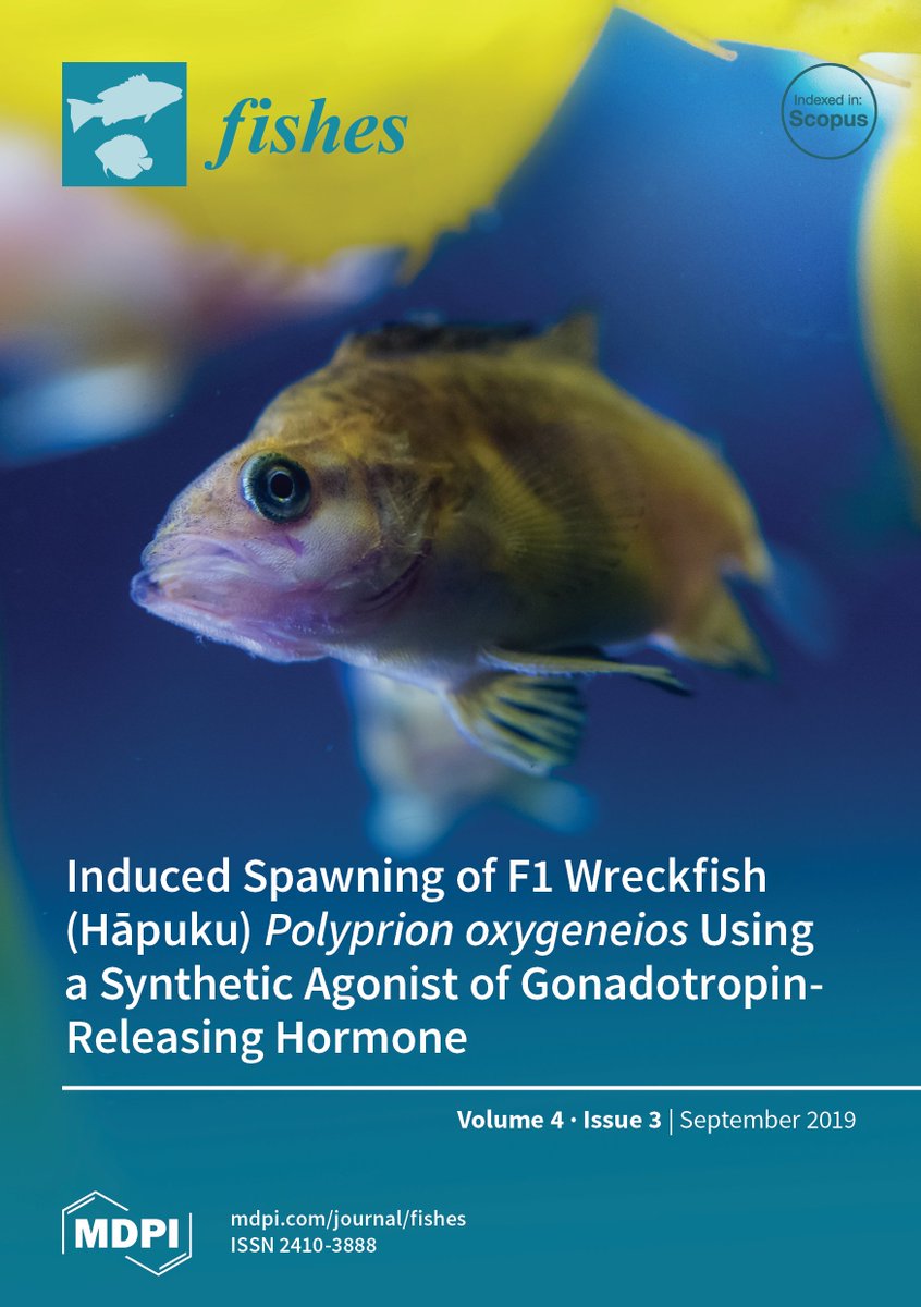 CBioinnovation's tweet photo. Congrats to the second front page #fishes @MDPIOpenAccess to our #Genecology director Prof. Abigail Elizur and team on their #wreckfish #spawning using synthetic #agonist of #gonadotropin releasing #hormone important research in #aquaculture ๐
@usceduau
https://t.co/xFXJCWe4uD https://t.co/o1gYCFp4RP