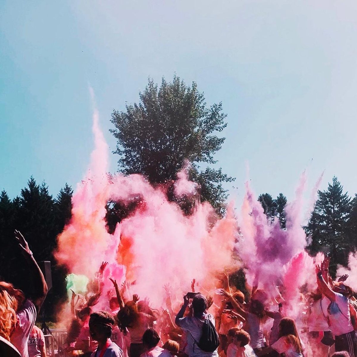ColorinMotion5k tweet picture