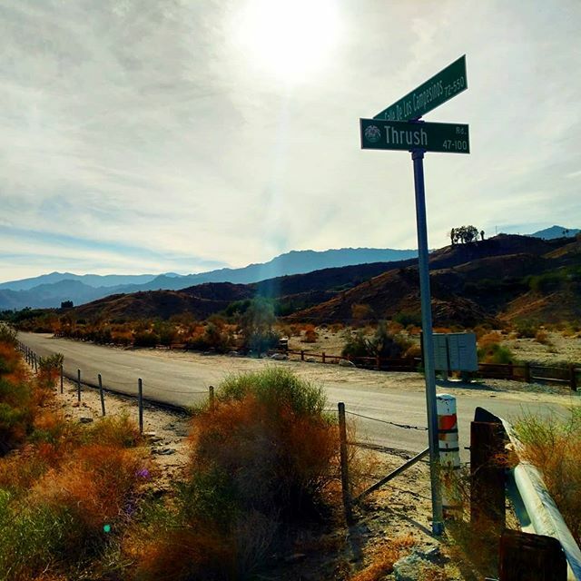 EveryAnth's tweet photo. There's something about a good ol' crossroads. It's one of those aesthetics that's been around for thousands of years, a perfect illustration of choice and consequence that humans have warned each other about for centuries – watch out, there might be an … https://t.co/7uu4jr7KcF https://t.co/v9HfceU3bF