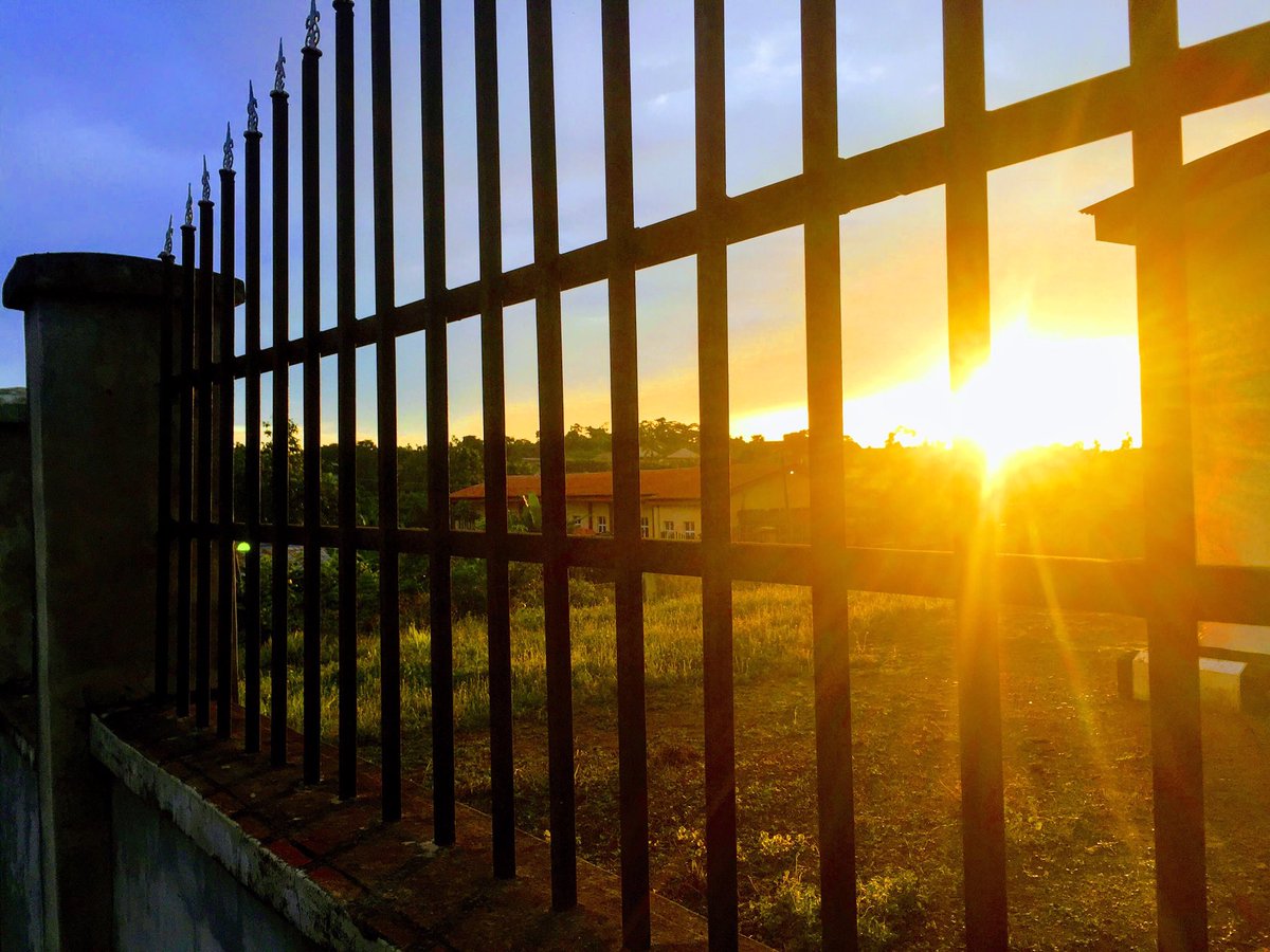 robbyjoe_3's tweet photo. Took this pictures with my IPhone...what do you think😍😍🔥...⁦@Apple⁩ ⁦@J23app⁩ https://t.co/qRbdON4SPB