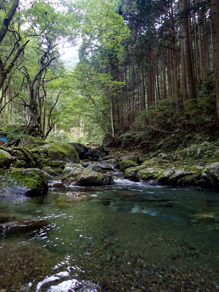 黒猫を連れてキャンプへやってきました

#キャンプ #コールマン #黒猫キャンプ #コールマン200A #ランタン