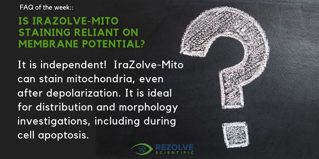 IraZolve-Mito is independent of membrane potential!  So excited to share this FAQ with you - for more info see our article in Nature: nature.com/articles/s4159… 
#fluorophores for #Microscopy #Mitochondria #CellBiology