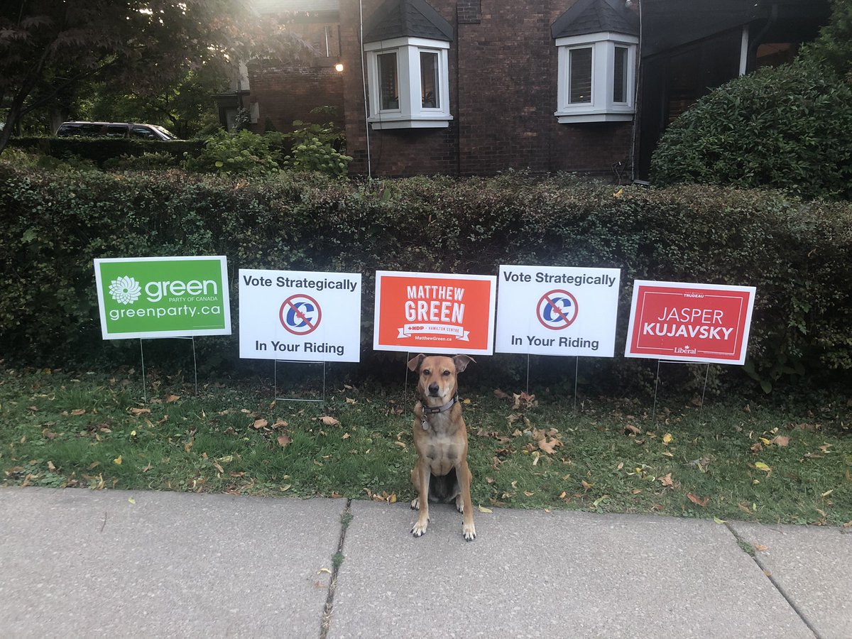 JacobJacksonVC's tweet photo. Wanted to get the conversation started around #strategicvoting in #HamiltonCentre. Do the research in your riding! #cdnpoli @MatthewGreenNDP #elxn43 #HamOnt @NDP @CanadianGreens @liberal_party https://t.co/fUkrv2y7vV
