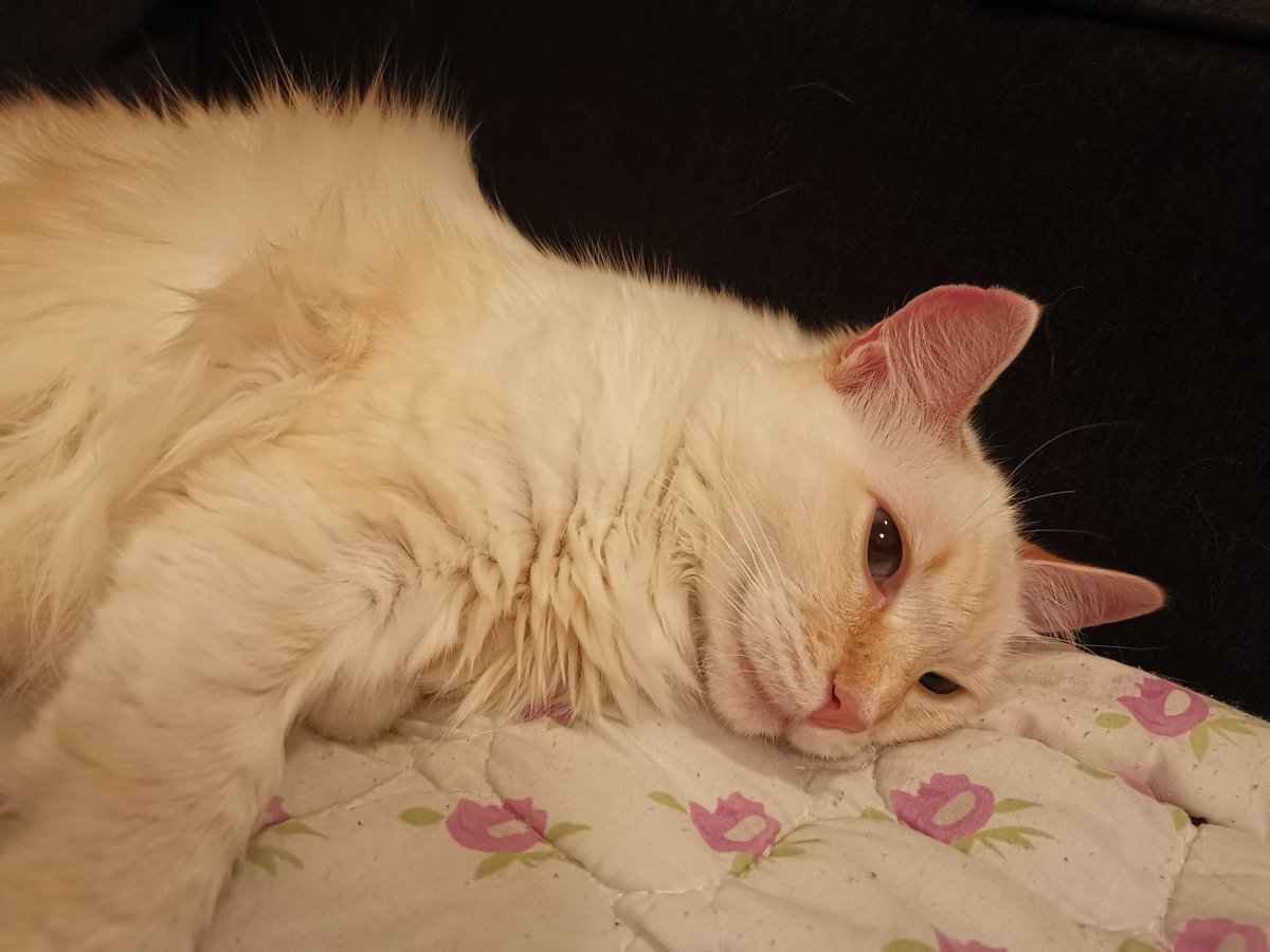 我想赶紧定下来 move out 趴体 喝酒 看电影 可是现在一个人住好贵 赚的好少 我太难了