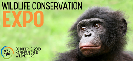 CALLING ALL BONOBO LOVER! At the WCN Expo on October 12th, 2019 you can learn from conservationists who are making a difference for wildlife. We will be exhibiting at the Expo and would love to meet you! Buy your ticket and learn more at bit.ly/30j2ail #WCNExpo #Bonobo