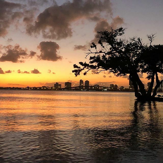 HardingMissions's tweet image. ift.tt/2mIjXAw