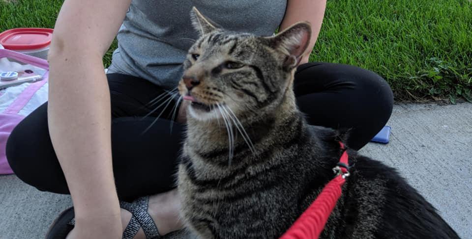 SDSU Consumer Affairs Club tweet media