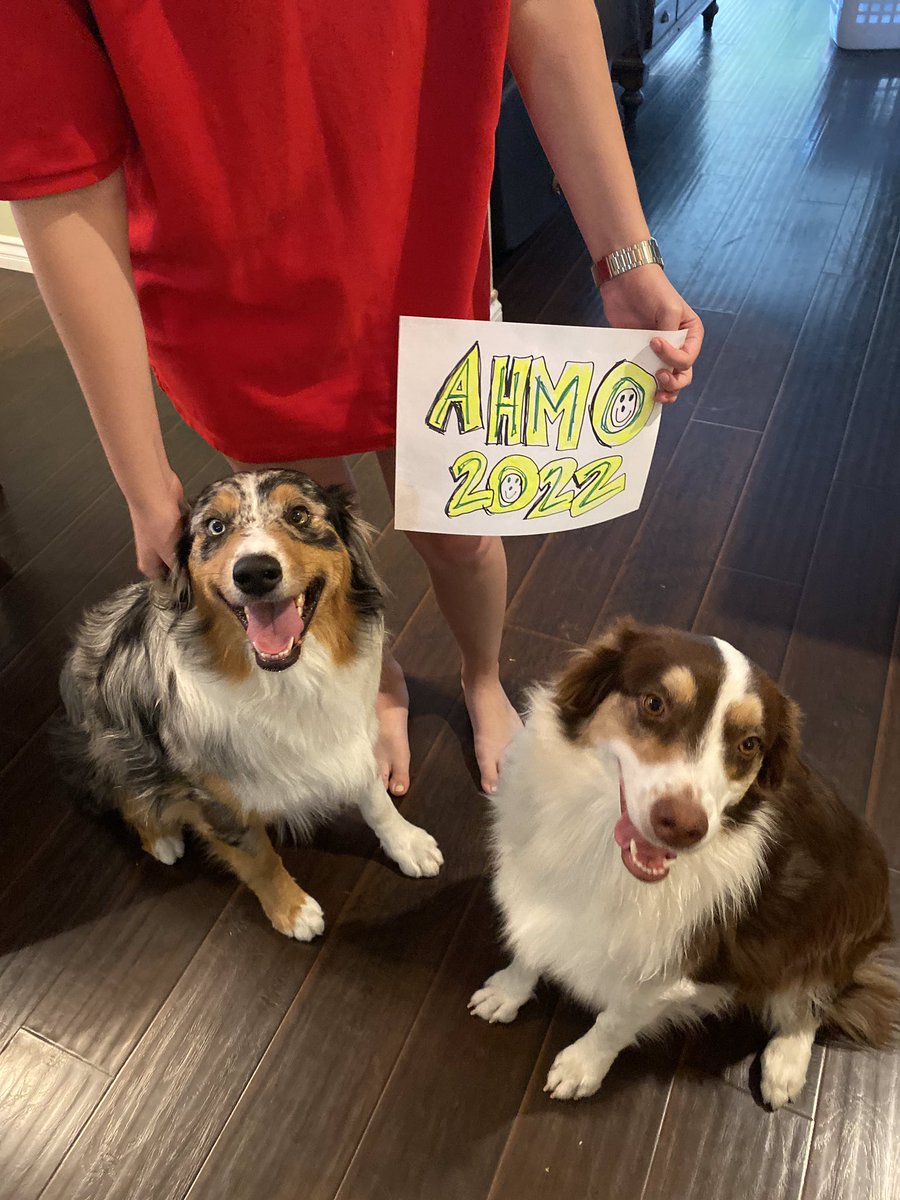 Jennifer Thor Story tweet media