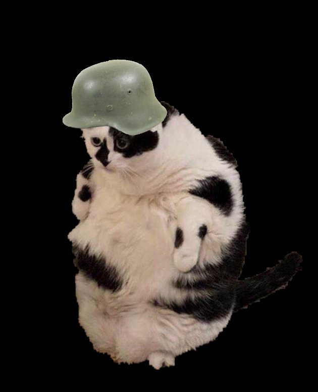 DiscoWorm_'s tweet photo. Everybody say hello to Cläus. He's joining the army to pay off his student loans. Good luck Cläus. https://t.co/dxxO9hHx4w