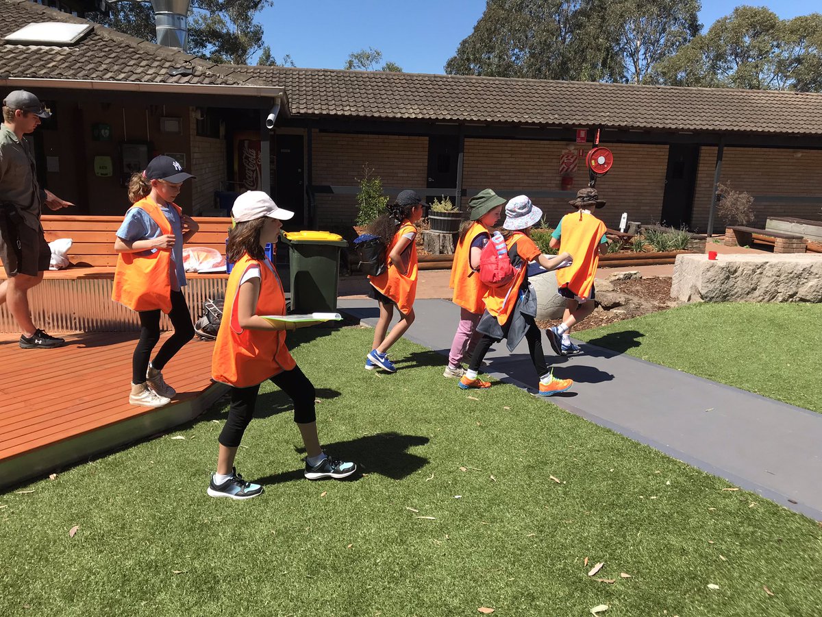 LapstoneP's tweet photo. The kids are off and navigating their way around at #bluegumlodge #camp #lapstonepublicschool https://t.co/fSm5Y4dOUH