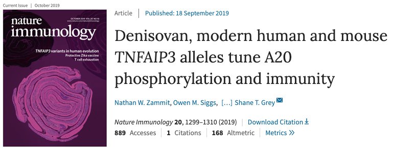 GarvanInstitute's tweet photo. A huge congratulations to our researchers Prof Chris Goodnow, A/Prof Shane Grey and Dr Nathan Zammit on landing the front cover of @NatImmunol October issue with their recent findings on modern human immunity! https://t.co/u0rVe2Jizf https://t.co/dNLNvq68X2