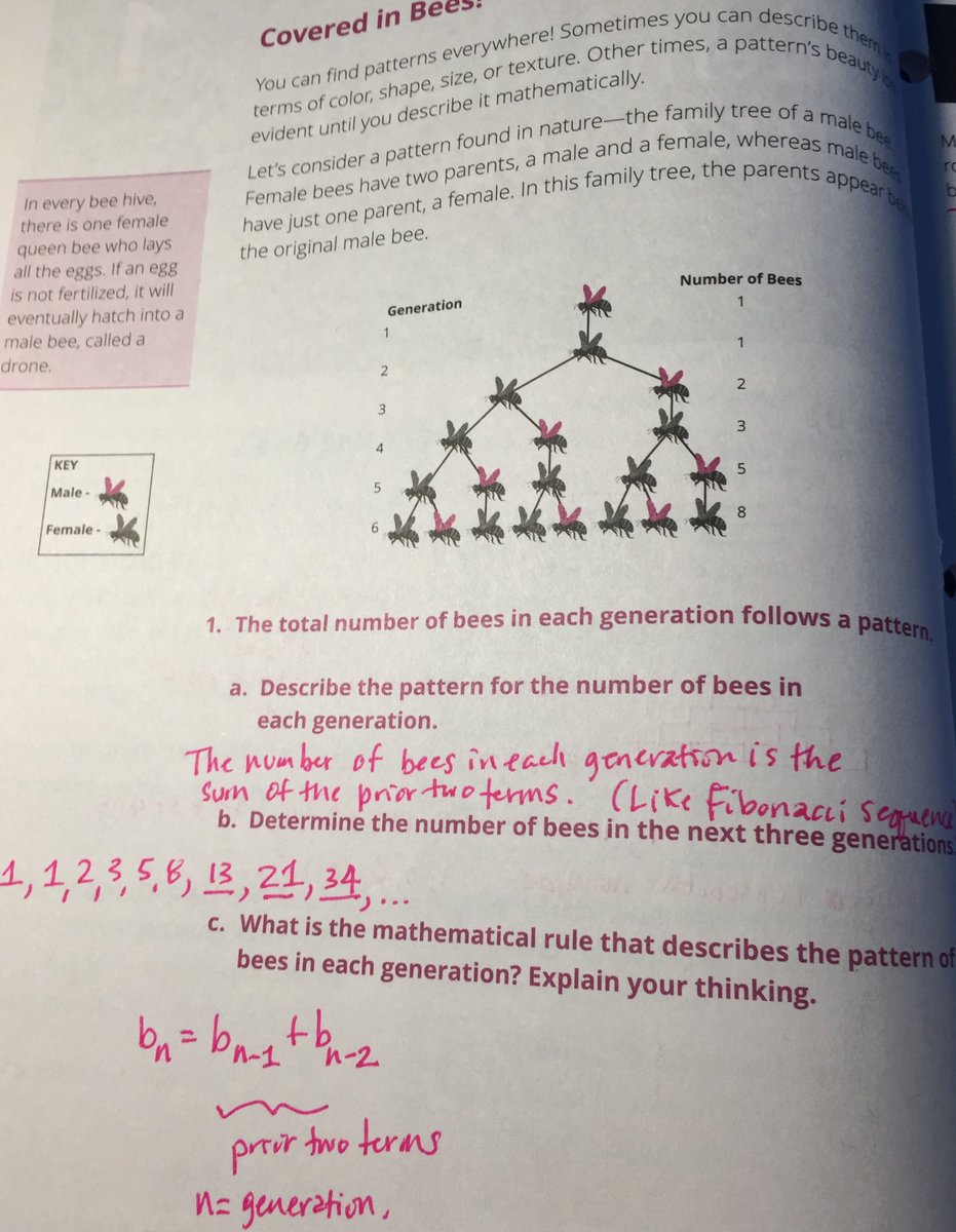 A bit later in algebra 2 students counted the number of male &amp; female bees &amp; expressed as a sequence...next term 12 or 13?  They settled on 13 &amp; described it as next term = sum of two before it - then an AHA “it’s just like MATHia” <a href="/carnegielearn/">Carnegie Learning</a> value incorrect responses