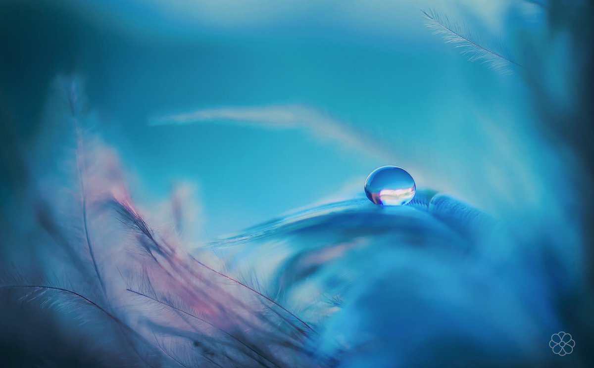 자신을
가로막는

걸림돌이나
장애물 들은

나 스스로가
만들어 놓은 한계일 뿐이다

무한한 시점으로 바라보게 되면
장애와 걸림돌은 존재하지 않게 된다