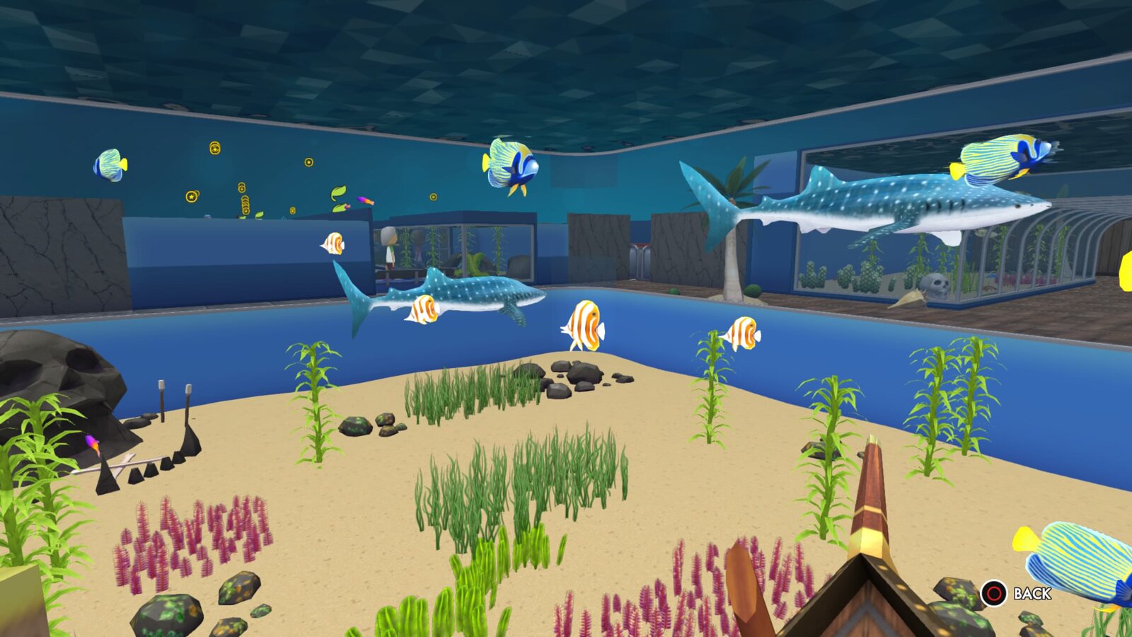 Insaniquarium 2 free Insaniquarium 2 free