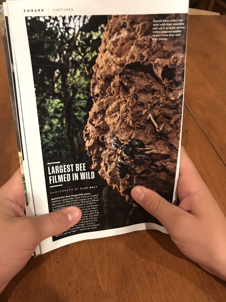 CMcCarthyVahey's tweet photo. @ABC Thinking of @PeteButtigieg tonight as we read October’s @NatGeo magazine. #PeteBuzz https://t.co/XCO6UTq1gL