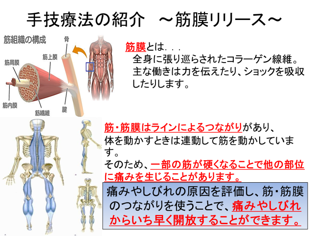 文庫中央鍼灸整骨院 Sur Twitter 筋膜リリース 当院では筋膜リリースを行っています 詳細はブログをご覧ください T Co hfevirun 金沢文庫の文庫中央鍼灸整骨院 筋膜リリース 金沢八景 交通事故治療 むち打ち治療 バリア フリー T