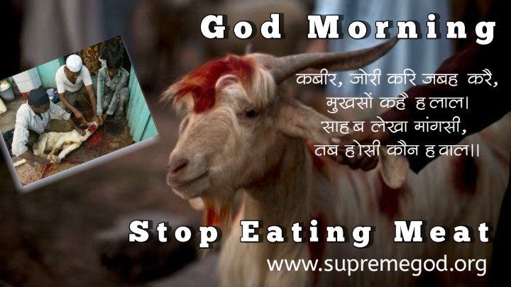 TDatta11's tweet photo. #GodMorningTuesday
आत्मा परमात्मा अंश है फिर क्युं लोग जीव हत्या करके उनका मांस खाते है....
मांस खाना महापाप है और ये बात सभी धर्म ग्रंथो में लिखीत है।
साधना tv 7:30 pm से https://t.co/ElhDhKv04A