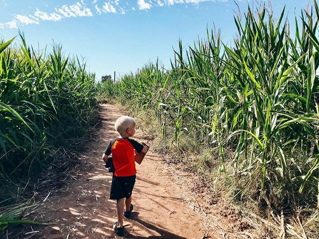 PlacesArizona's tweet image. This giveaway ends tonight! Go to this picture on @phoenixwithkids to enter the giveaway for a chance to win! 😁 #phoenixwithkids 🎃 ift.tt/2ledkFx