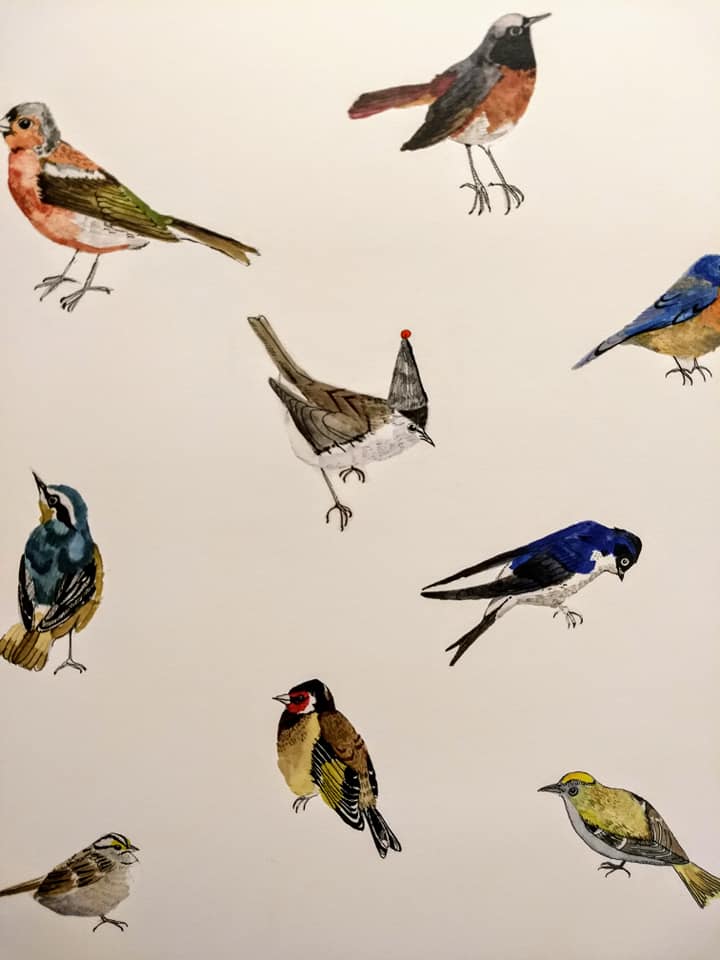 The Town Hall tweet media