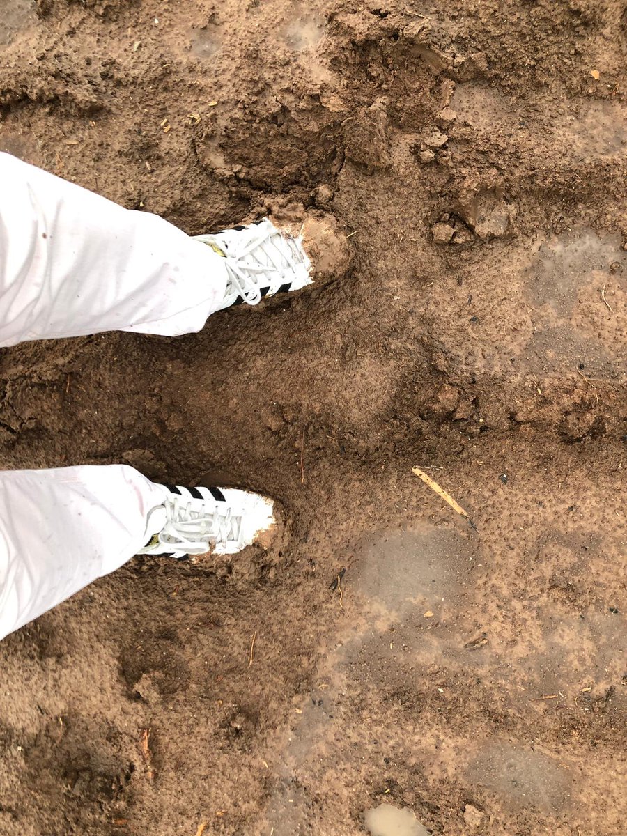 MarteraProducts's tweet photo. Travelling in Peru to see the Inca Inchi crops, but haven’t chosen the best day to do so. Tropical rain showers! #martera #peru #incainchi #sachainchi #amazon #organic https://t.co/oKCZPTCbY0