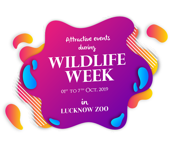 Click on the link below for more details... 🦁

#WildLifeWeek2019 #LucknowZoo #Zoo #Animals

…wzoofiles.s3.ap-south-1.amazonaws.com/wildlife+week+…