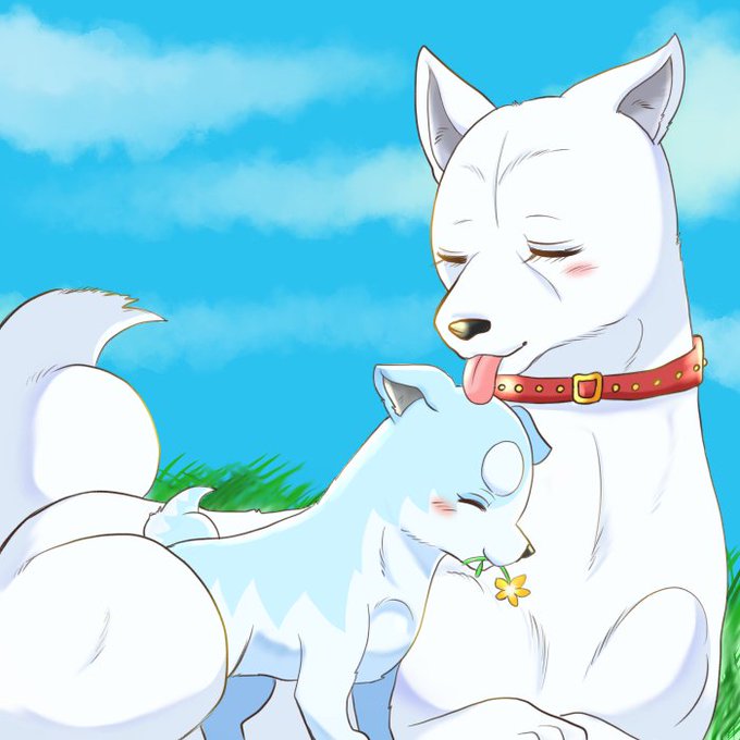 銀牙伝説weedオリオンのtwitterイラスト検索結果 銀牙伝説weedオリオンのtwitterイラスト検索結果
