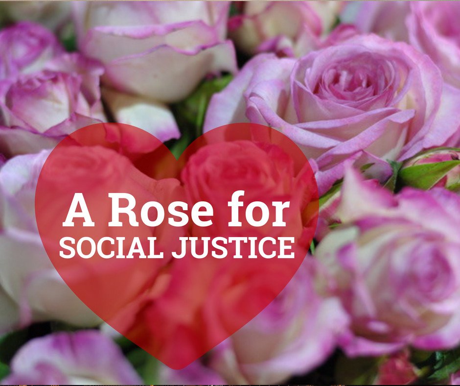 Your 'Thuli Madonsela' rose purchase donates R100 to the THUMA FOUNDATION! From 4-6 Oct - at any Ludwig's Rose Centre. Visit us for our annual rose festival; The Language of Colour' at Ludwig's Rose Farm from 4-6 Oct. Tickets @ COMPUTICKET 
#thulimadonselarose  #SAinColour