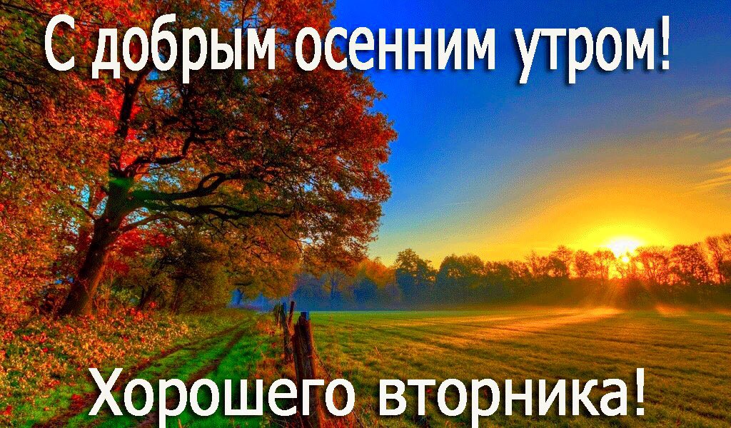 Днем, картинки с добрым утром вторника прикольные и хорошего настроения