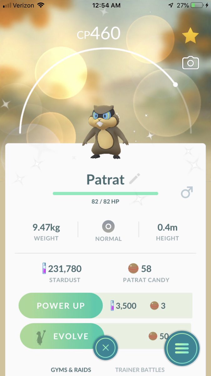 Mr Mrspokemon On Twitter One More Before Bed Mrs Pokemon Was Able To Snag A Shiny Of Her Own Congrats On The Shiny Patrat And Watchog Patrat Watchog Pokemongo Pokemon Shiny Https T Co Olfzophfoc