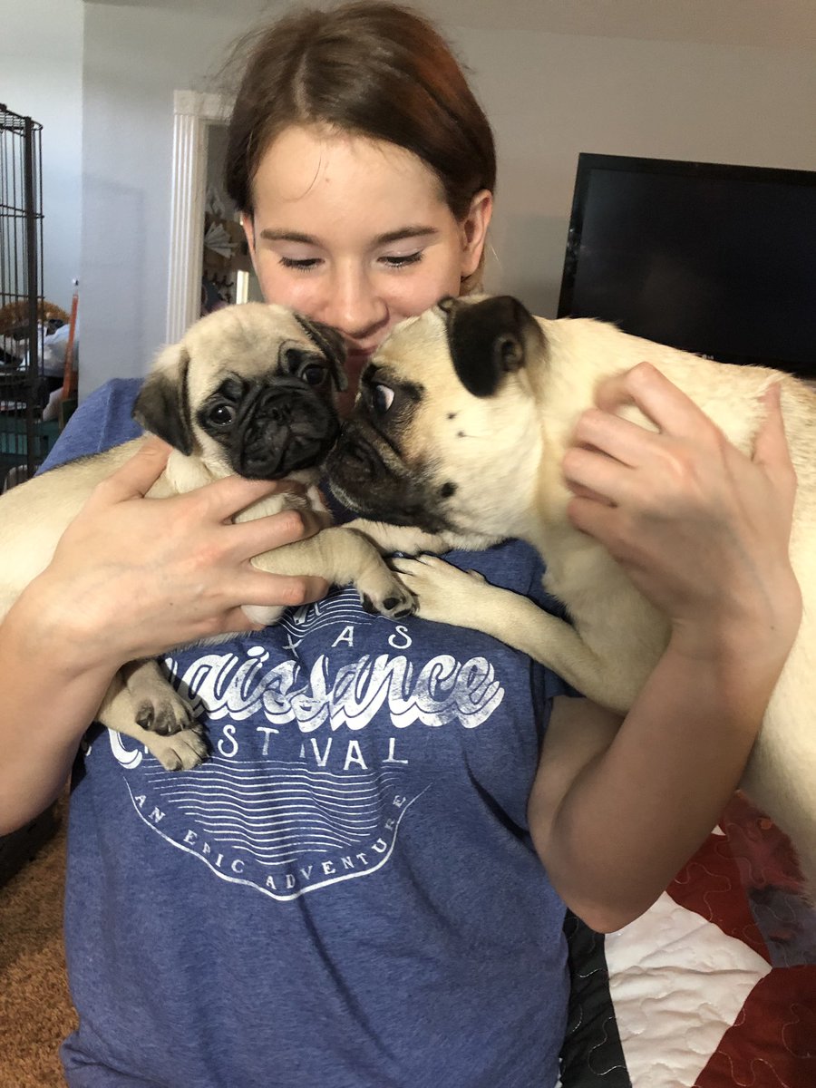 schexnayderhea1's tweet photo. @keeley160 Happy Birthday 🎊🎉 I wish I could have been there. We love you and miss you. I thought you might love looking at their puggie cuteness...They miss and love you also 😘 https://t.co/Oud4xY7aJm