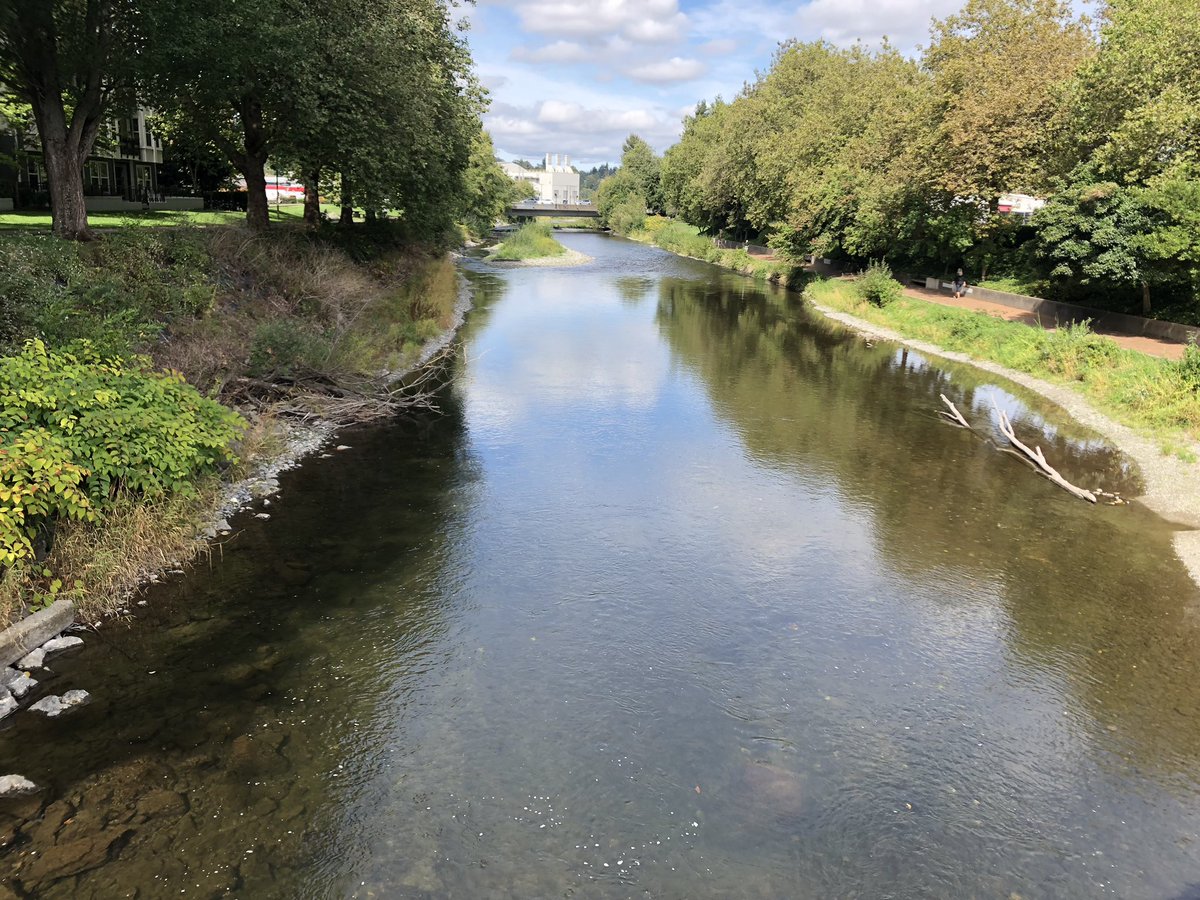KassaKayla's tweet photo. Repeat surveys of the Cedar River almost a wrap! https://t.co/qZupkSSD2o