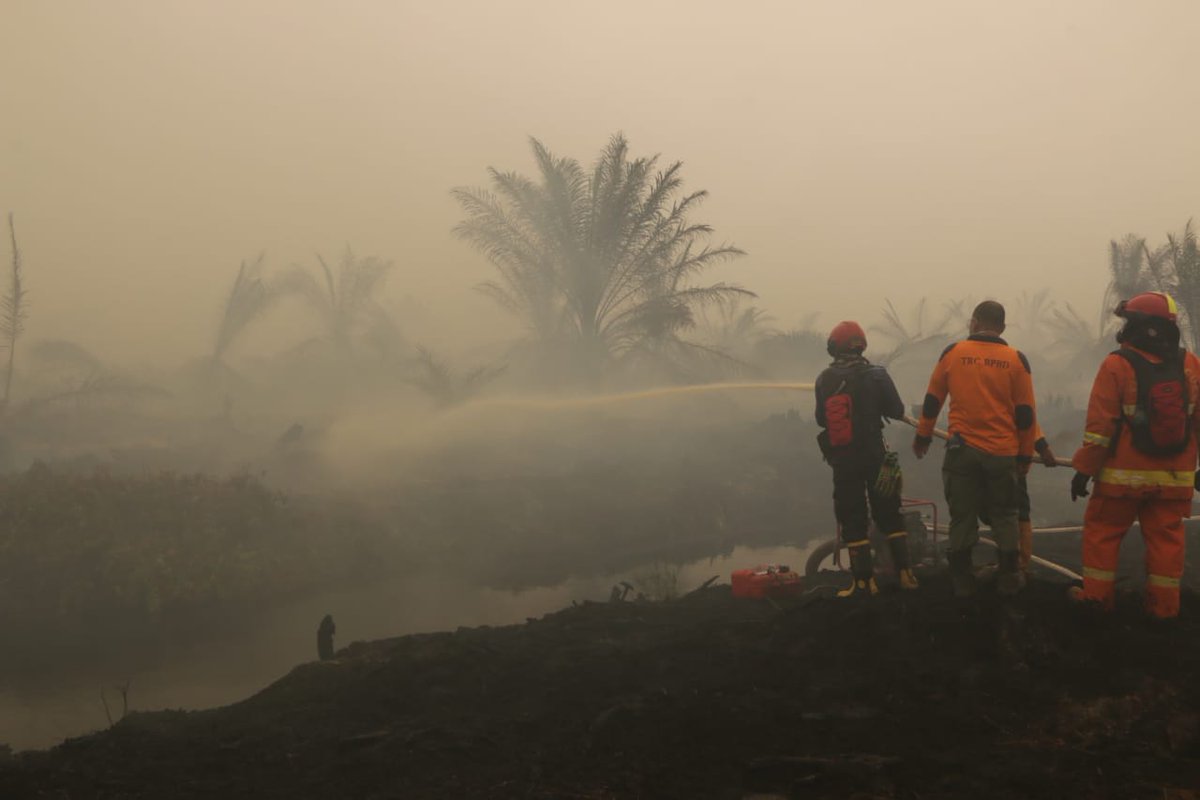 DKIJakarta's tweet photo. Satgas Terpadu Penanggulangan Bencana Kebakaran Hutan dan Lahan Provinsi DKI Jakarta berkoordinasi dengan BPBD Jambi untuk memadamkan titik api di Desa Puding, Kabupaten Muaro Jambi.

https://t.co/cemPq9JixR
#DKIJakarta
#Jakarta
#Karhutla⁣
#KebakaranHutan⁣
#MelawanAsap https://t.co/odrJWG4bad