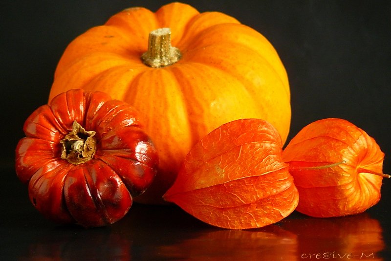 goedemorgen! een regenachtig dagje, dus wat extra kleur!;-) #herfst